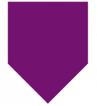 image BOTTINGOURMANDFANIONVIOLET.png (1.5kB)